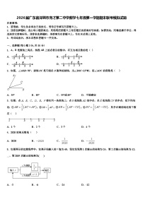 2026届广东省深圳市育才第二中学数学七年级第一学期期末联考模拟试题含解析