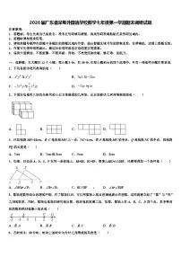 2026届广东省深圳外国语学校数学七年级第一学期期末调研试题含解析