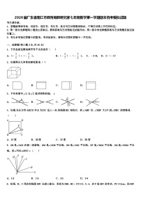 2026届广东省阳江市教育局教研究室七年级数学第一学期期末统考模拟试题含解析