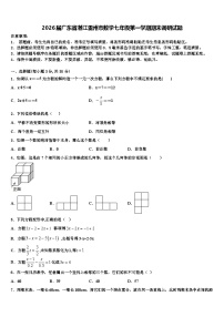 2026届广东省湛江雷州市数学七年级第一学期期末调研试题含解析