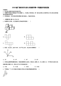 2026届广西来宾市九级七年级数学第一学期期末检测试题含解析