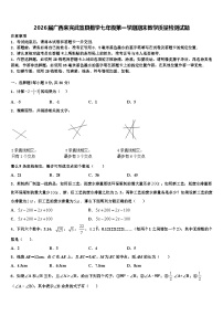 2026届广西来宾武宣县数学七年级第一学期期末教学质量检测试题含解析