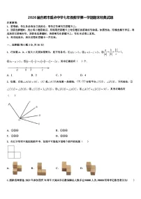 2026届合肥市重点中学七年级数学第一学期期末经典试题含解析