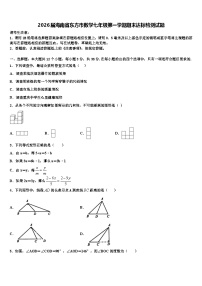 2026届海南省东方市数学七年级第一学期期末达标检测试题含解析