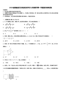 2026届海南省乐东思源实验学校七年级数学第一学期期末调研试题含解析