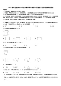 2026届河北省廊坊市文安县数学七年级第一学期期末达标检测模拟试题含解析