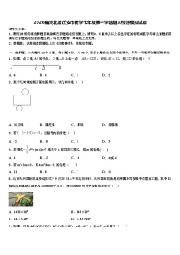2026届河北省迁安市数学七年级第一学期期末检测模拟试题含解析