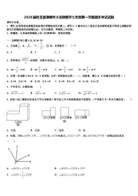 2026届河北省邯郸市大名县数学七年级第一学期期末考试试题含解析