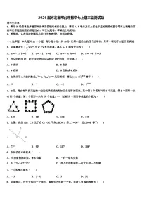 2026届河北省邢台市数学七上期末监测试题含解析