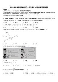 2026届河南省郑州高新区八一中学数学七上期末复习检测试题含解析