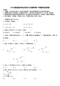 2026届河南省平顶山市名校七年级数学第一学期期末监测试题含解析