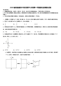 2026届河南省新乡市名校数学七年级第一学期期末监测模拟试题含解析