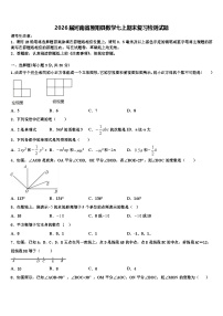 2026届河南省原阳县数学七上期末复习检测试题含解析