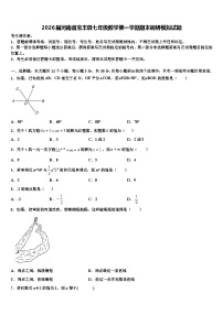 2026届河南省宝丰县七年级数学第一学期期末调研模拟试题含解析