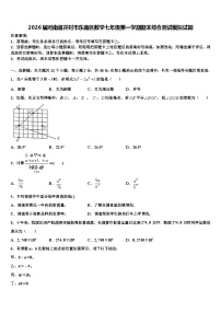 2026届河南省开封市东南区数学七年级第一学期期末综合测试模拟试题含解析