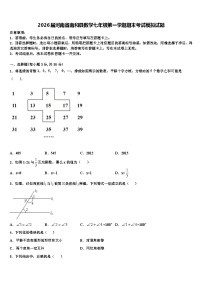 2026届河南省南和县数学七年级第一学期期末考试模拟试题含解析