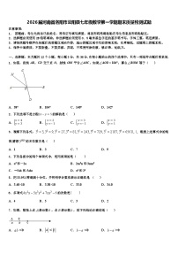 2026届河南省洛阳市汝阳县七年级数学第一学期期末质量检测试题含解析