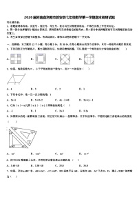 2026届河南省洛阳市新安县七年级数学第一学期期末调研试题含解析