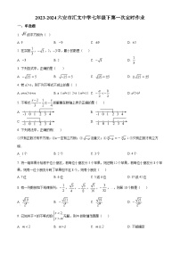 安徽省六安市汇文中学七年级下学期月考数学试题（原卷版）-A4
