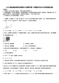 2026届河南省洛阳市宜阳县七年级数学第一学期期末学业水平测试模拟试题含解析