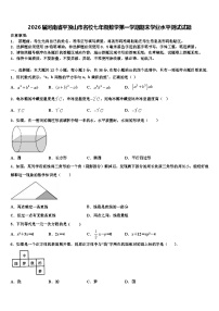 2026届河南省平顶山市名校七年级数学第一学期期末学业水平测试试题含解析