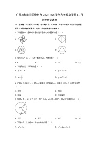 广西壮族自治区柳州市2025-2026学年九年级上学期11月期中数学试卷（学生版）