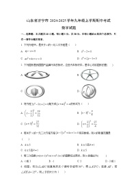 山东省济宁市2024-2025学年九年级上学期期中考试数学试卷（学生版）