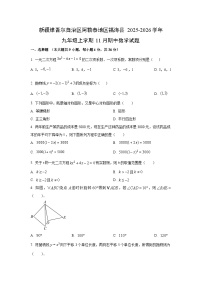 新疆维吾尔自治区阿勒泰地区福海县2025-2026学年九年级上学期11月期中数学试卷（学生版）