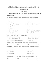 新疆和田地区皮山县2025-2026学年九年级上学期11月期中数学试卷（学生版）
