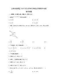 上海浦东新区2025-2026学年九年级上学期期中考试数学试卷（学生版）