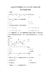 山东省济宁市高新区2024-2025学年八年级上学期期中考试数学试卷（学生版）