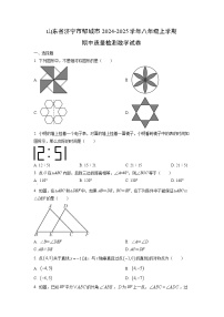 山东省济宁市邹城市2024-2025学年八年级上学期期中质量检测数学试卷（学生版）
