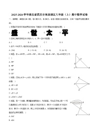 2025-2026学年湖北省武汉市东西湖区八年级（上）期中数学试卷