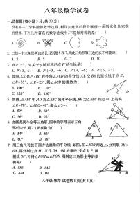 洛阳市伊滨区2025-2026学年八年级上学期期中数学试卷及答案