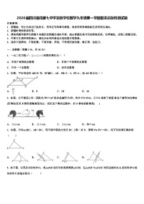 2026届四川省成都七中学实验学校数学九年级第一学期期末达标检测试题含解析