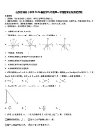 山东省德州七中学2026届数学九年级第一学期期末达标测试试题含解析