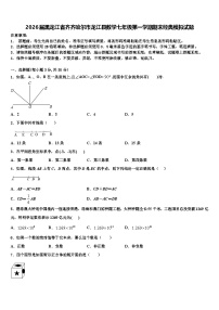 2026届黑龙江省齐齐哈尔市龙江县数学七年级第一学期期末经典模拟试题含解析