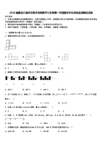 2026届黑龙江省哈尔滨市宾县数学七年级第一学期期末学业质量监测模拟试题含解析