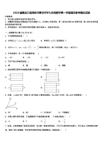 2026届黑龙江省海伦市第五中学七年级数学第一学期期末联考模拟试题含解析
