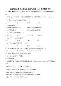 2025-2026学年上海市金山区八年级（上）期中数学试卷-自定义类型