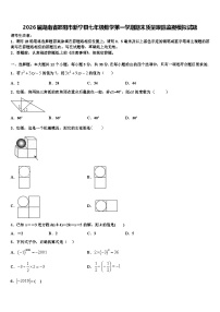 2026届湖南省邵阳市新宁县七年级数学第一学期期末质量跟踪监视模拟试题含解析