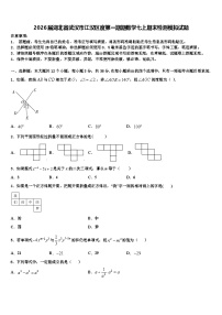 2026届湖北省武汉市江汉区度第一期期数学七上期末检测模拟试题含解析