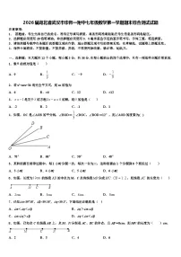 2026届湖北省武汉市华师一附中七年级数学第一学期期末综合测试试题含解析
