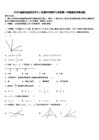 2026届湖北省武汉市七一华源中学数学七年级第一学期期末经典试题含解析