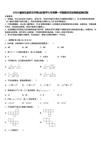 2026届湖北省武汉市青山区数学七年级第一学期期末质量跟踪监视试题含解析