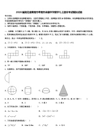 2026届湖北省襄阳市枣阳市徐寨中学数学七上期末考试模拟试题含解析
