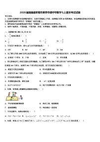 2026届湖南省邵阳市黄亭市镇中学数学七上期末考试试题含解析