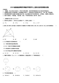 2026届湖南省郴州市湘南中学数学七上期末达标检测模拟试题含解析