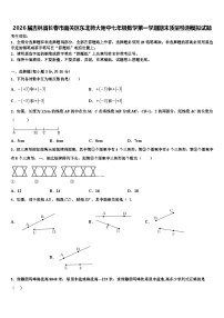 2026届吉林省长春市南关区东北师大附中七年级数学第一学期期末质量检测模拟试题含解析