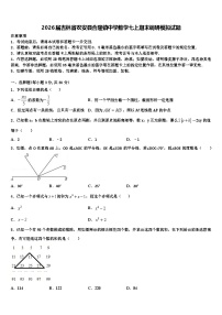 2026届吉林省农安县合隆镇中学数学七上期末调研模拟试题含解析